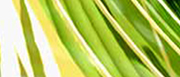 associa-17.jpg